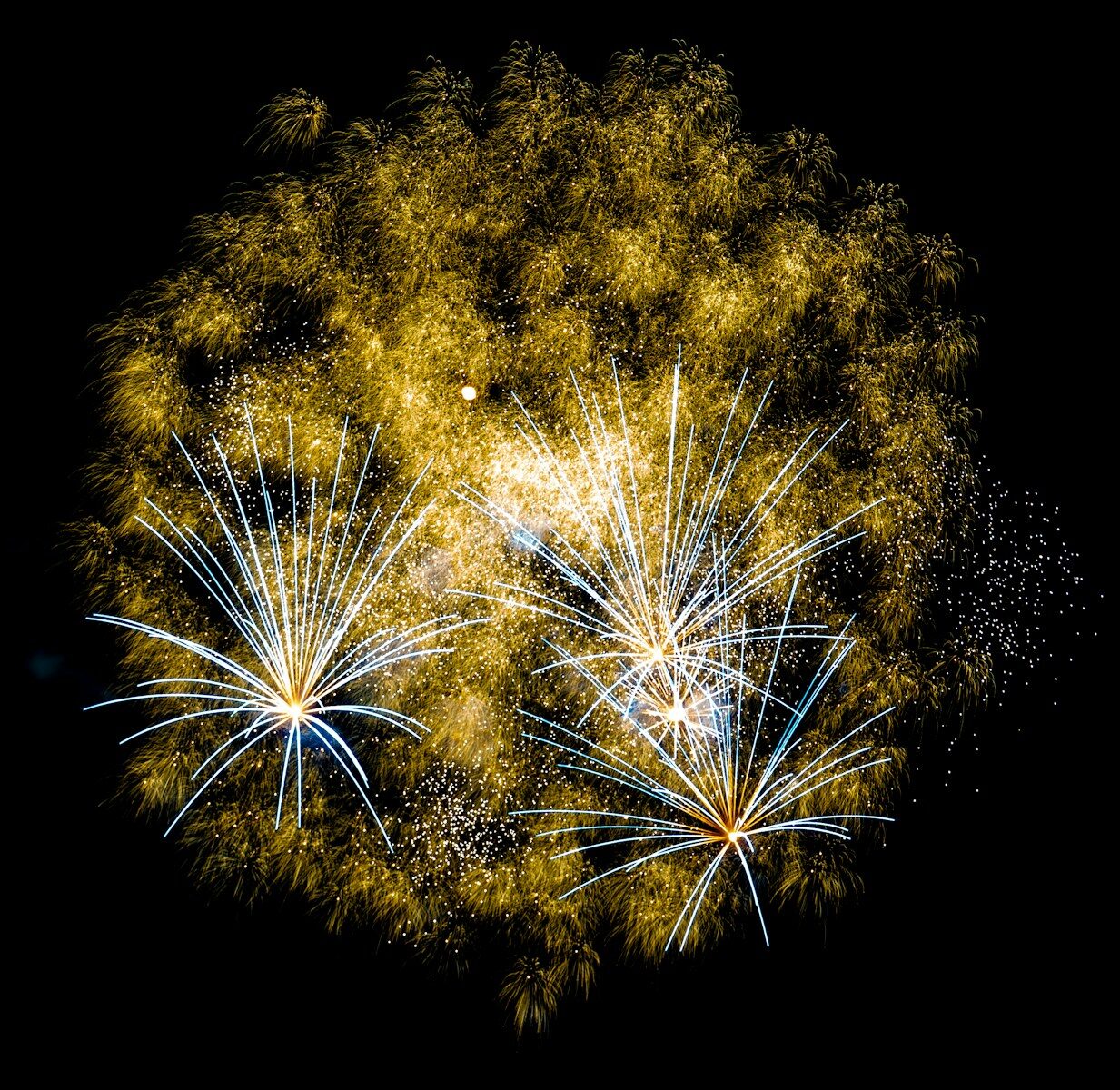 Spectacular golden and white fireworks explode in the dark.